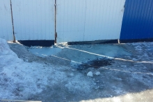 У приюта для бездомных животных вылили жидкость, которая убила щенка